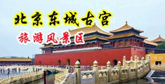 性感微胖美女大黄片中国北京-东城古宫旅游风景区